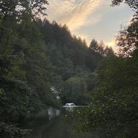 Strolling around the lake @ Waldsee, Freiburg at Waldsee in Freiburg
