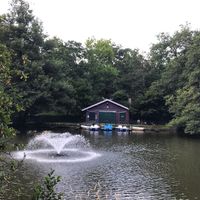 Strolling around the lake @ Waldsee, Freiburg at Waldsee in Freiburg