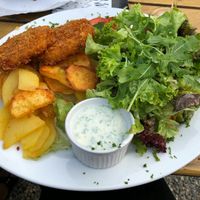 Mix Teller mit Kohlrabischnitzel, Bratkartoffeln, Salat und veg. Kräuterquark at Waldsee in Freiburg
