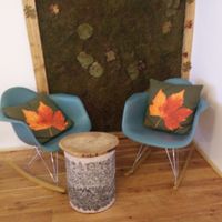 Interior at Schondorf Bio Cafe in Bratislava