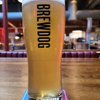 Pint at BrewDog in Manchester