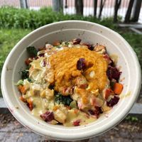 Rainbow Harvest bowl (very garlicky)  at Life Alive Organic Cafe in Lowell