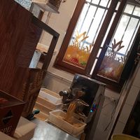 Ganz frisch at Dal Moro's Fresh Pasta To Go in Venice