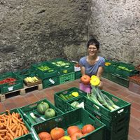 Gabi - the owner of biochi showed me around in here organic shop. All the vegetable and fruit is stored in a natural cellar underneath the shop. so they do not even need a energy-wasting cooling system. at Biochi in Schladming