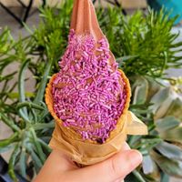 Chocolate Bliss in a mini waffle cone with sprinkles! at Yoga-urt in Glendale