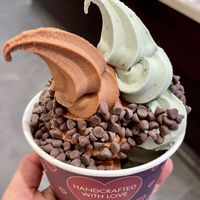 Medium chocolate and mint - chocolate was great! Mint was really bad unfortunately  at Yoga-urt in Glendale