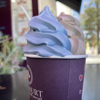   at Yoga-urt in Glendale