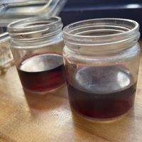 Health shots  at Thrive in Boulder