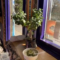 Broccoli chedda soup at Thrive in Boulder