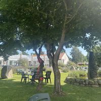   at Spisested Terrassen in Nykobing Sjaelland