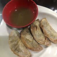 Dumplings at Wellnessland Vegetarian Cafe in Cebu