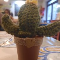 Knitted cactus friend! at Ma va' in Rome
