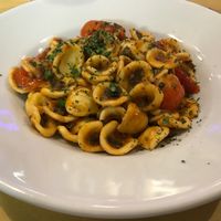 Primi at Ma va' in Rome