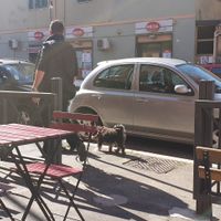 The outside seating area, very near a market at Breaking Bread Bistrot in Rome