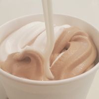  at The Green Cat in Virginia Beach