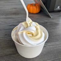 Pumpkin pie/vanilla swirl soft serve ice cream at The Green Cat in Virginia Beach