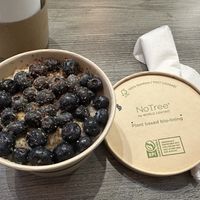   at The Green Cat in Virginia Beach