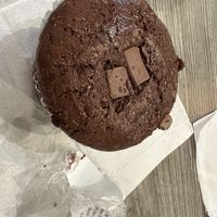   at The Green Cat in Virginia Beach