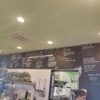  at The Green Cat in Virginia Beach