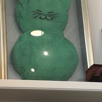 Love the pillow  at The Green Cat in Virginia Beach