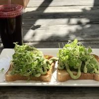 Absolutely avocado-licious!😋 at The Green Cat in Virginia Beach