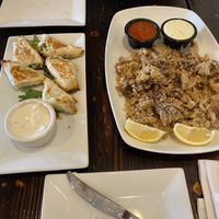 Vegan Spanakopita and calamari  at 3 Brothers Vegan Cafe in Copiague