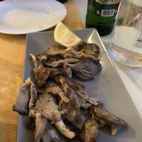 pleurotus (v) - mushrooms  at Kapilio in Crete