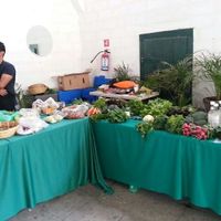 Organic produce at Encuentro Comercial Sustentable Tameme in Puebla