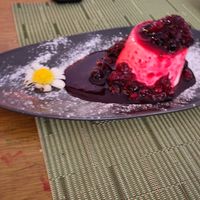 Panna cotto with red fruit sauce at NovaPizza Vegan Kitchen in Edinburgh