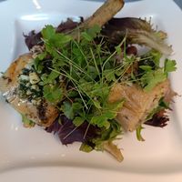  at NovaPizza Vegan Kitchen in Edinburgh