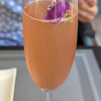  at NovaPizza Vegan Kitchen in Edinburgh