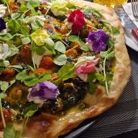  at NovaPizza Vegan Kitchen in Edinburgh