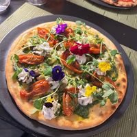  at NovaPizza Vegan Kitchen in Edinburgh