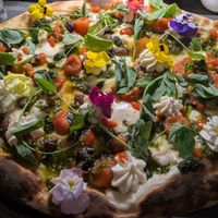  at NovaPizza Vegan Kitchen in Edinburgh