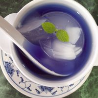 Blue pea coconut jelly at Nature Vegetarian Delights 大自然素食 - Upper Serangoon in Northeast Singapore