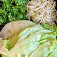 More ingredients for the popiah - so filling at Nature Vegetarian Delights 大自然素食 - Upper Serangoon in Northeast Singapore