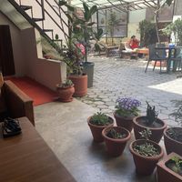 Nice botanical patio off the main road.  at Loving Heart in Kathmandu