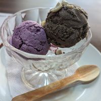 Blueberry and chocolate ice cream at Loving Heart in Kathmandu