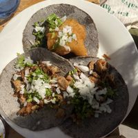 Gran variedad de tacos   at Vegetal - temporarily closed in Mexico City