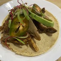   at Vegetal - temporarily closed in Mexico City