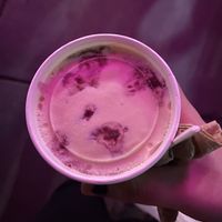 Cherry Chocolate Chip Ice cream  at Vegetal - temporarily closed in Mexico City