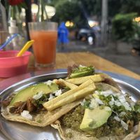 Delicious tacos  at Vegetal - temporarily closed in Mexico City