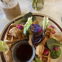   at Flora and Fauna in Fremantle