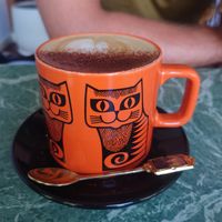 Cappuccino with oat milk at Flora and Fauna in Fremantle