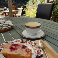 vegan berry cake at Oats Healthy Living Store in Brixham