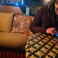  at Chakra Indian Fusion in Tirana