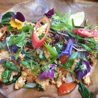 Spicy tofu scramble $22.00 at Foraged in Seddon