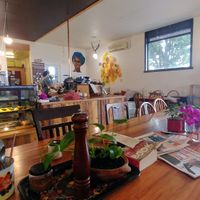 Interior at Foraged in Seddon