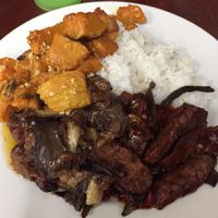 3 choices with rice at Blossoming Lotus in Newtown