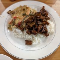 2 option w/rice. Crispy Soy & Tofu Curry at Blossoming Lotus in Newtown